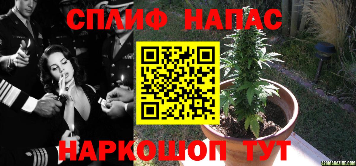 Бошки марихуана LSD WEED  Марихуана план  Шишки марихуана сатива  Вход с VPN  Марихуана тримм  Норильск 